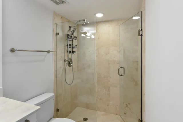 a bathroom with a shower and toilet