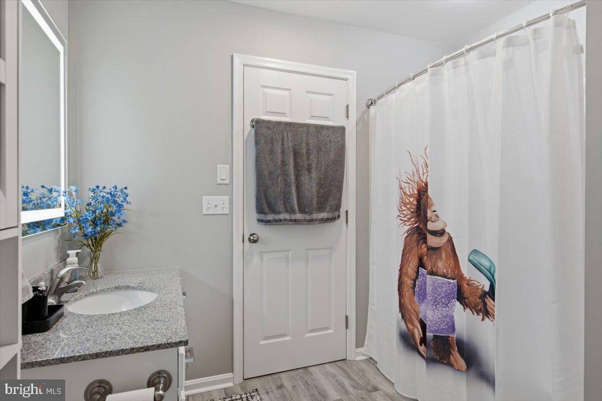 3410 Seaman Road Preston, MD 21655 - Photo 55 of 64