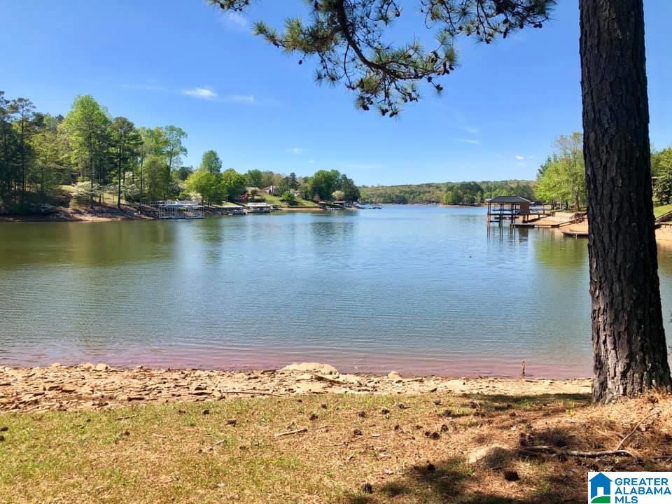293 Sunset Drive Wedowee, AL 36278 - Photo 6 of 23