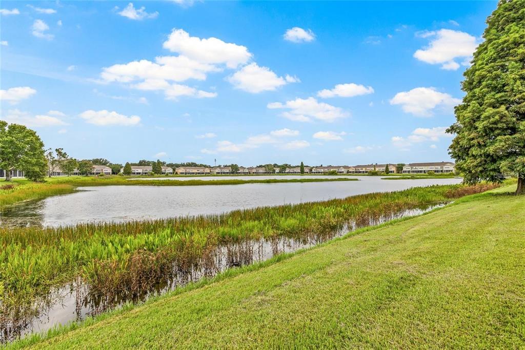 4879 Pond Ridge Drive Riverview, FL 33578 - Photo 42 of 57 Gallery Image 42