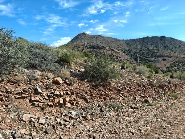 a view of a mountain in the distance in a field
