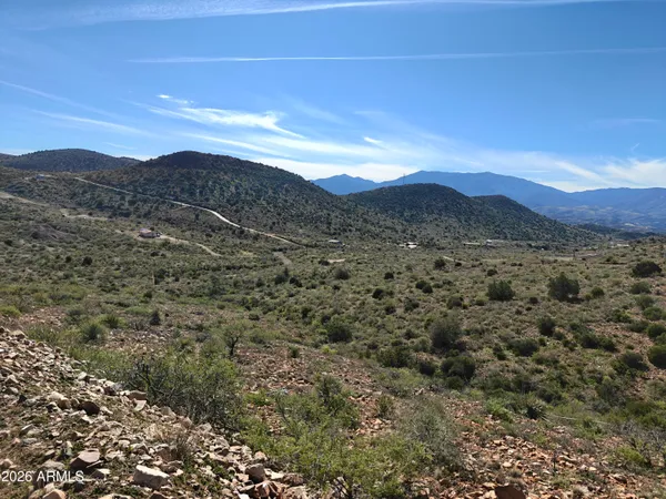 a view of a forest with mountains in the background