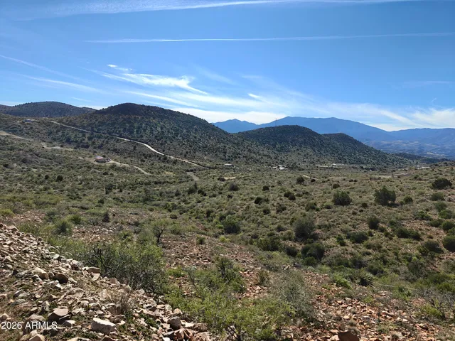 a view of a forest with mountains in the background