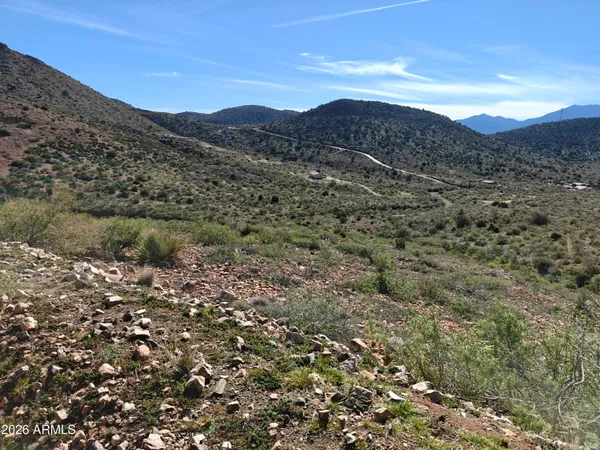 a view of a mountain in the distance in a field