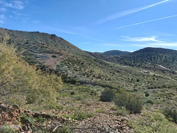 a view of a dry yard with mountains in the background