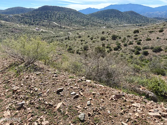 a view of a large mountain with trees in the background