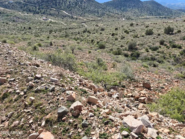 a view of a dry yard with green space