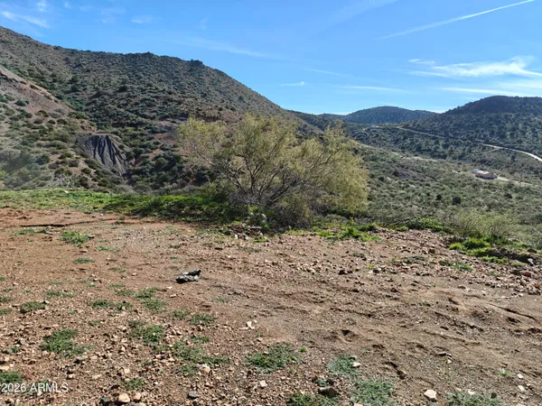 a view of a dry yard with mountains in the background