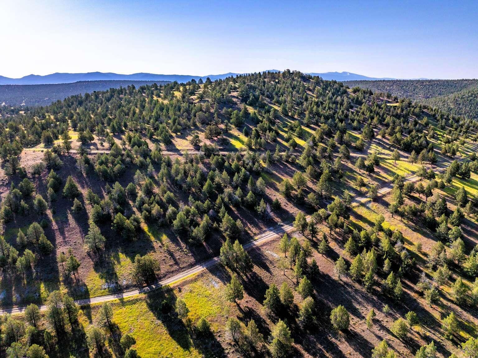 737 Raccoon Lane Alturas, CA 96101 - Photo 10 of 16 Dingman.10