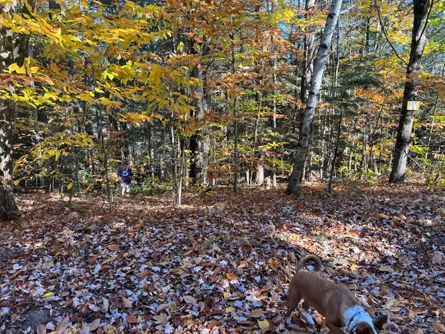 $59,900 | Lot 2 Laurel Lane, New London, NH 03257