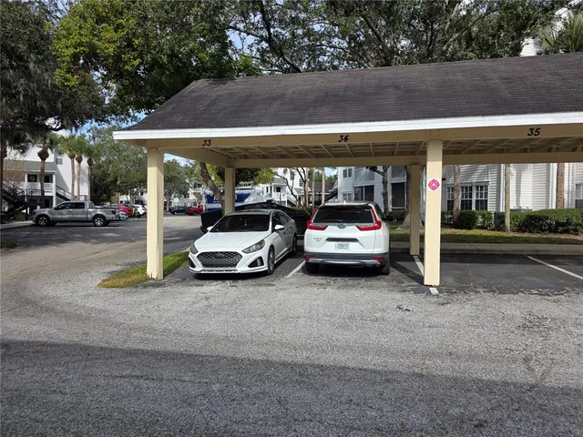 $1,500 | 3301 Haviland Court, Unit 104, Palm Harbor, FL 34684