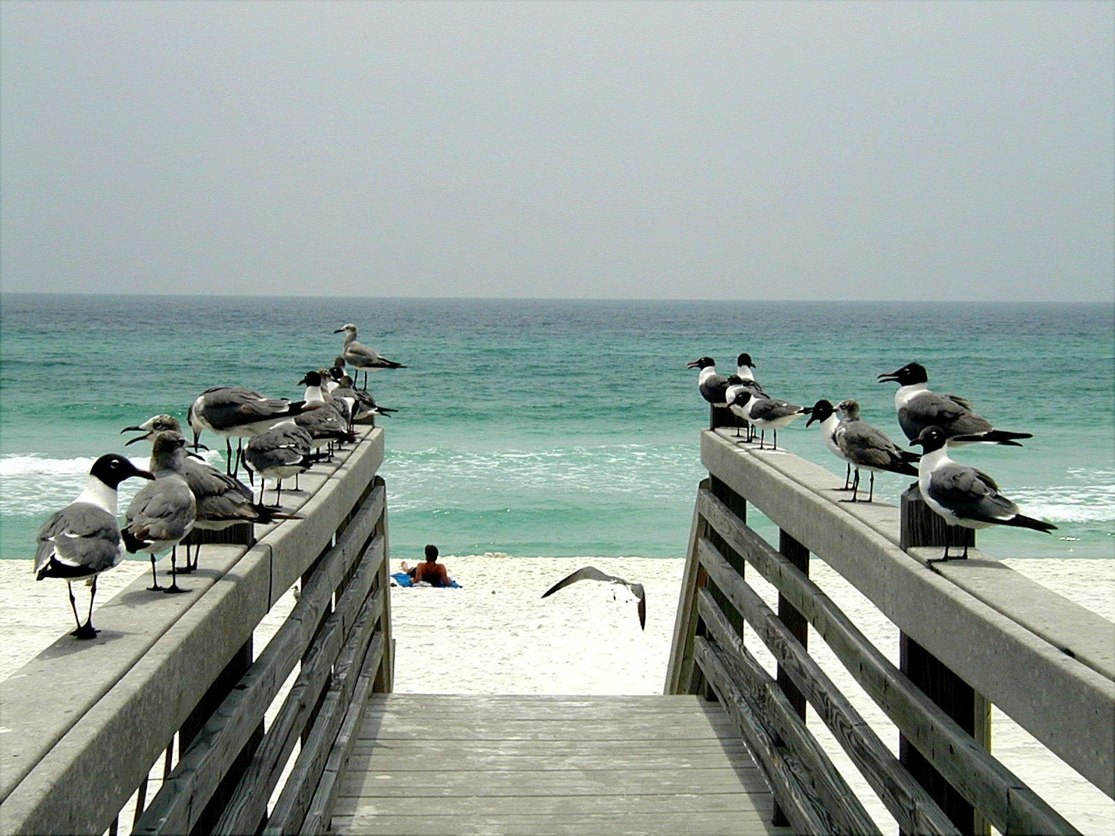 239 Grand Key Loop West Destin, FL 32541 - Photo 34 of 38 Gallery Image 34