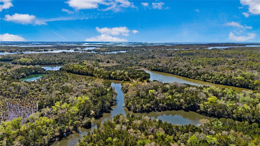 3929 North Sagomon Point Crystal River, FL 34428 - Photo 51 of 58