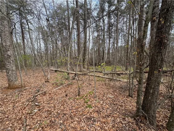 $80,000 | 0 Brims Grove Road, Pinnacle, NC 27043