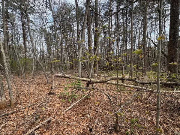 $80,000 | 0 Brims Grove Road, Pinnacle, NC 27043