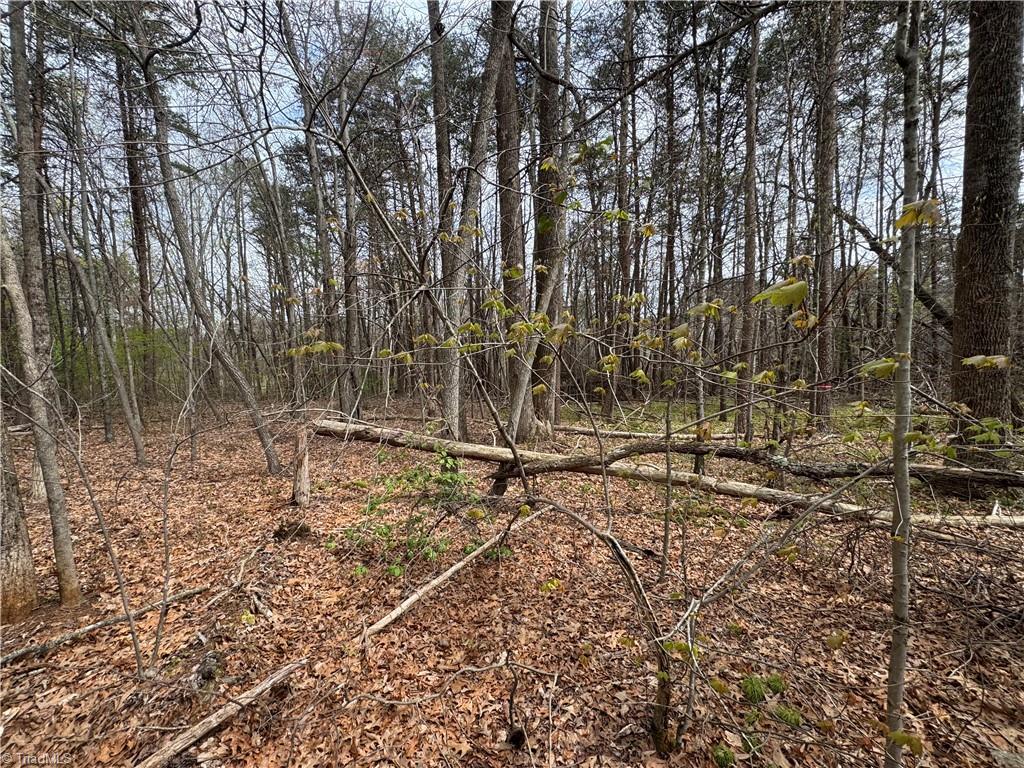 0 Brims Grove Road Pinnacle, NC 27043 - Photo 4 of 7