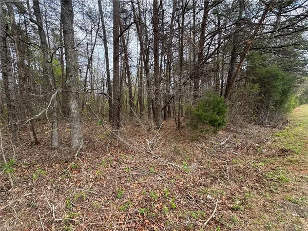 $80,000 | 0 Brims Grove Road, Pinnacle, NC 27043