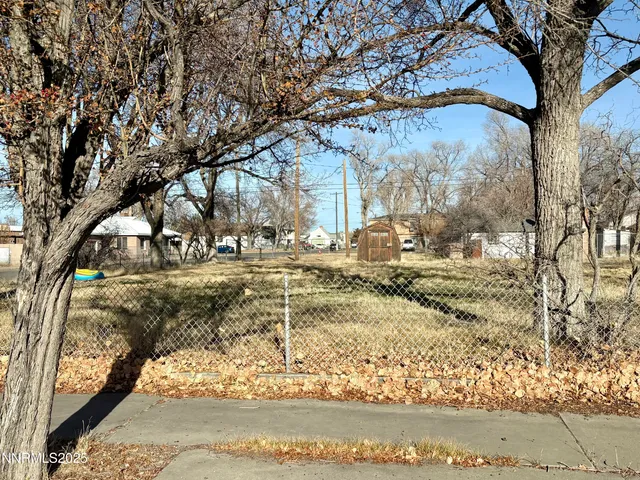 a view of yard with tree