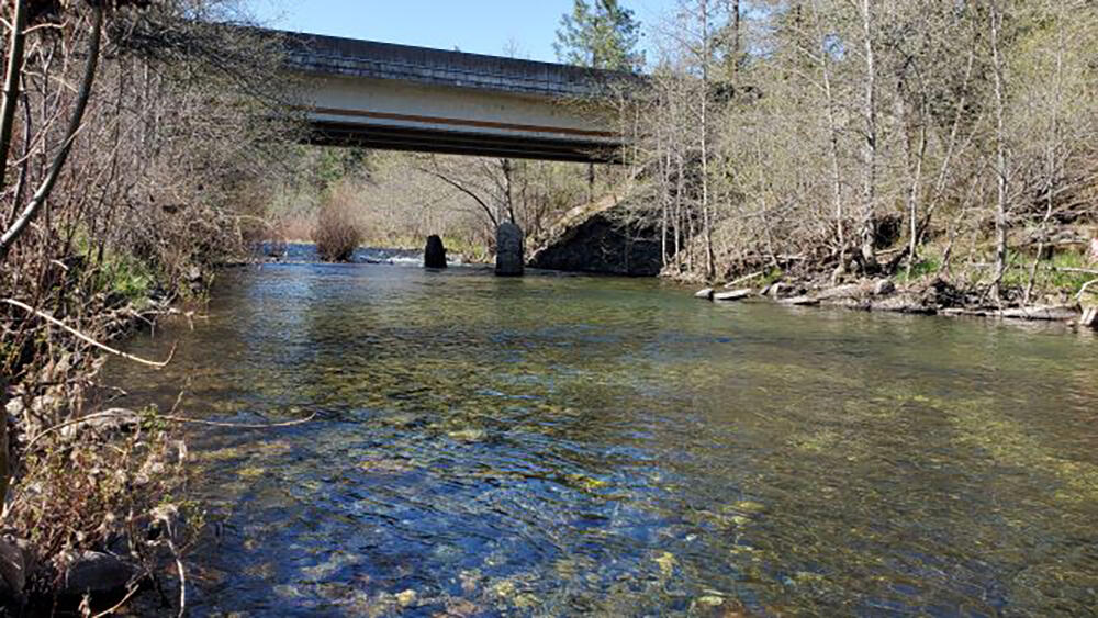 4750 Waldo Road Cave Junction, OR 97523 - Photo 6 of 22 6