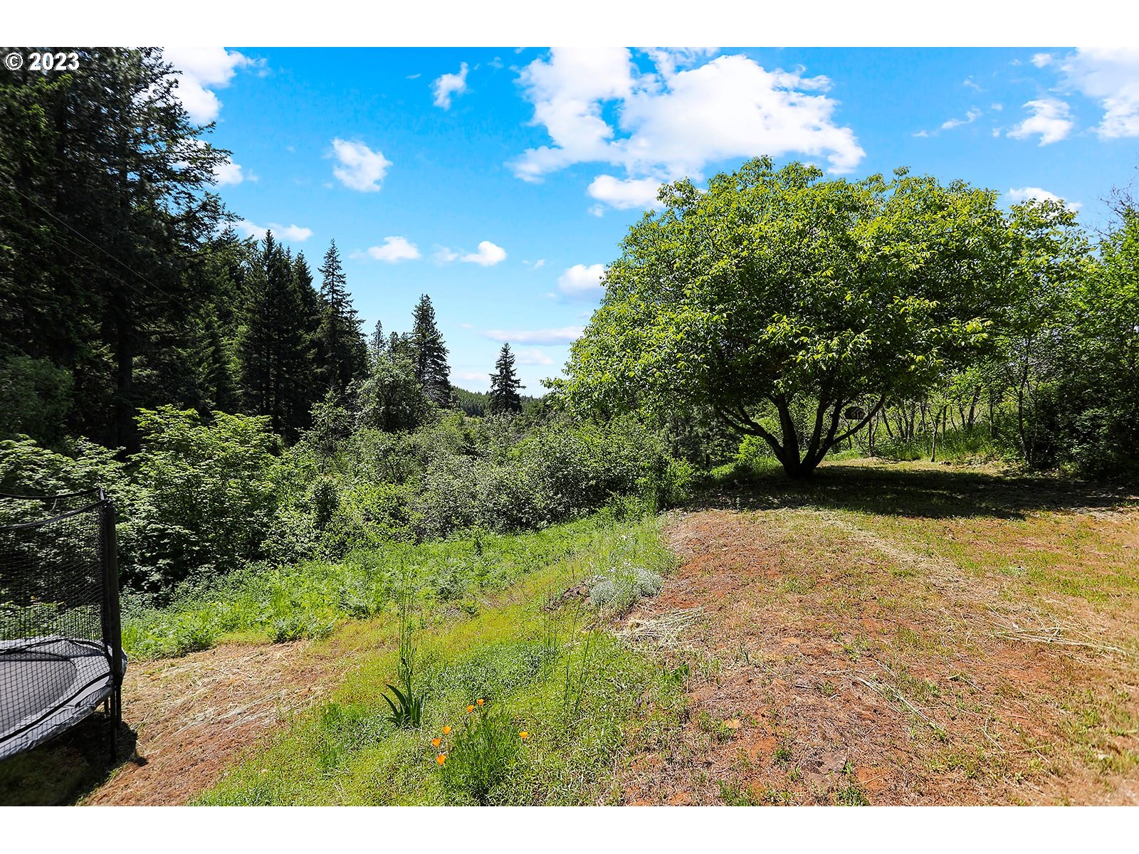 131 Acme Road White Salmon, WA 98672 - Photo 35 of 47 Backyard