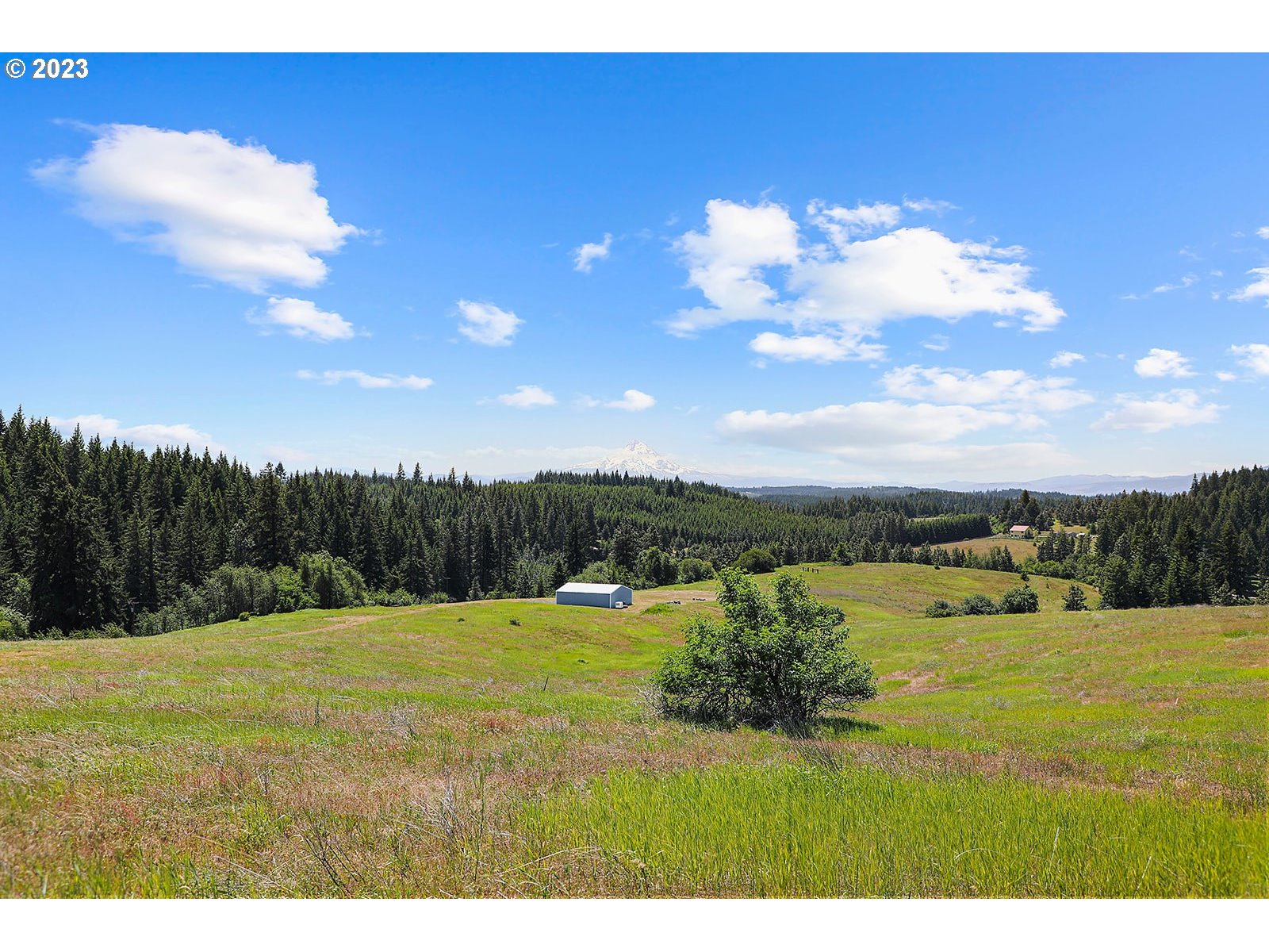 131 Acme Road White Salmon, WA 98672 - Photo 46 of 47