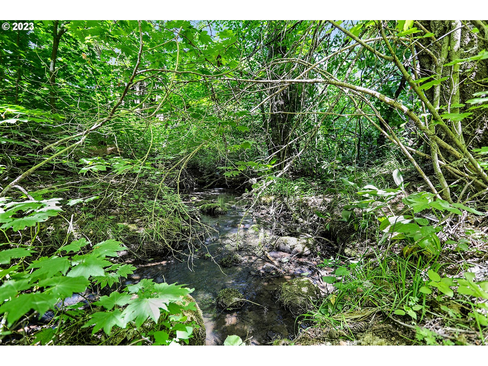 131 Acme Road White Salmon, WA 98672 - Photo 5 of 47 Creek