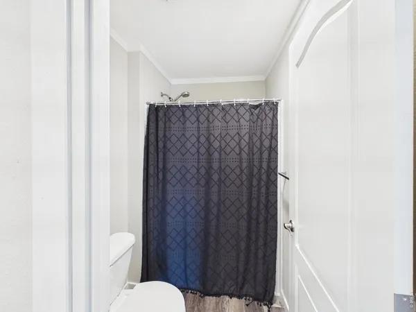 a bathroom with a shower curtain and a toilet