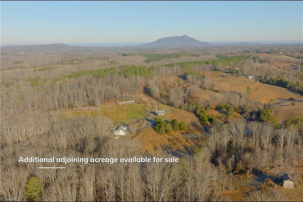 588 Roby Fulk Road Pinnacle, NC 27043 - Photo 39 of 48