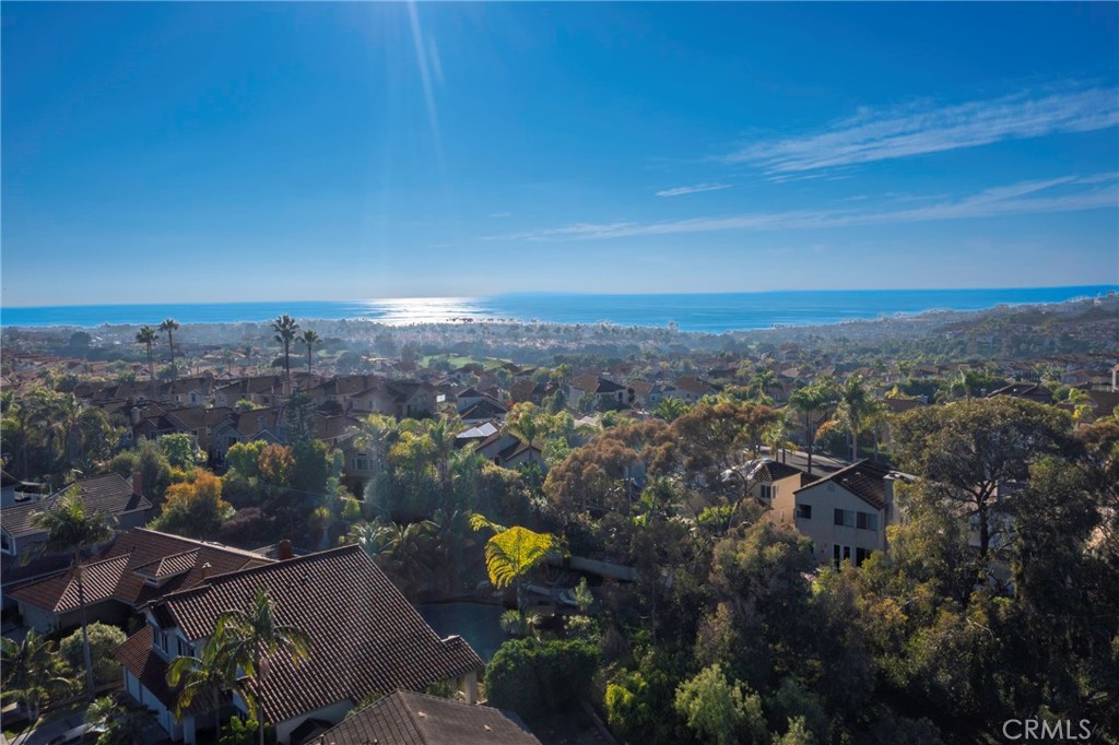 20 Regina Dana Point, CA 92629 - Photo 57 of 60 an aerial view of multiple house