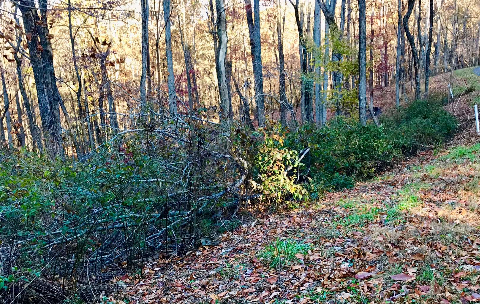 Lt160 Lt160 Falling Waters Lane Blue Ridge, GA 30513 - Photo 1 of 1 Main View
