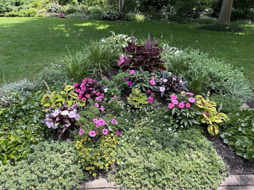 1 Seastrand Way, Unit 1 Chatham, MA 02633 - Photo 28 of 35 a view of a flower in a garden