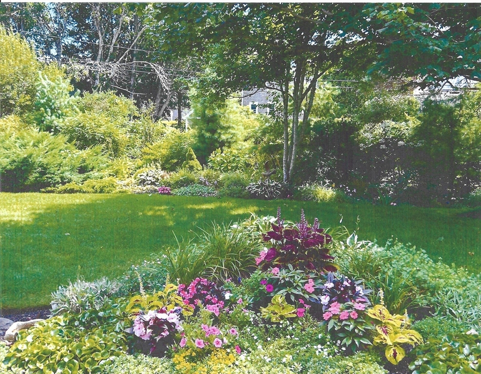 1 Seastrand Way, Unit 1 Chatham, MA 02633 - Photo 3 of 35 a bunch of flowers in the garden