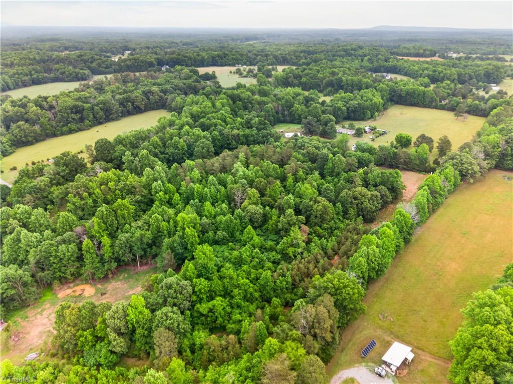 7436 Chaseford Road Liberty, NC 27298 - Photo 3 of 14