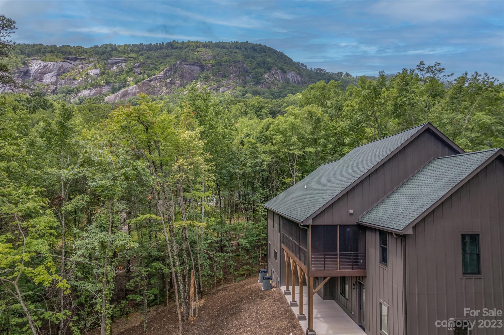 609 Quail Ridge Road Lake Lure, NC 28746 - Photo 46 of 48 Gallery Image 46