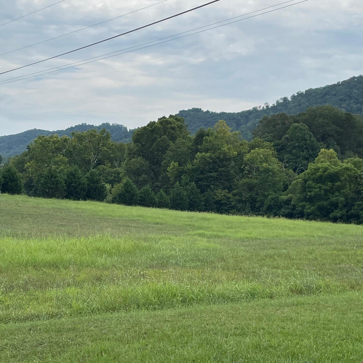 434 Webb Road Rogersville, TN 37857 - Photo 8 of 12 IMG_1084
