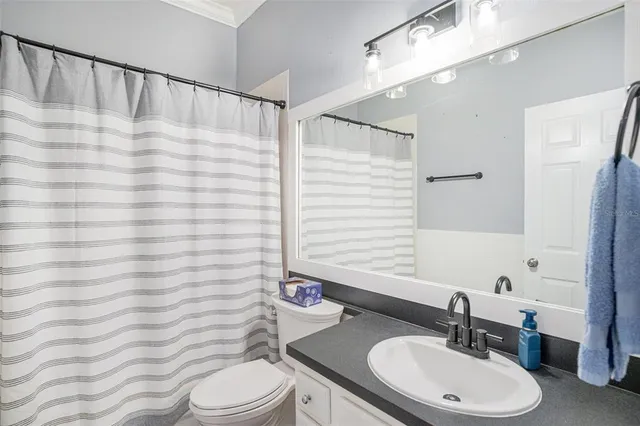 a bathroom with a sink a toilet a mirror and shower curtain