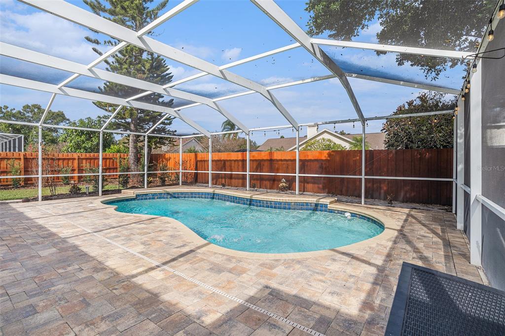 2846 Duncan Tree Circle Valrico, FL 33594 - Photo 37 of 45