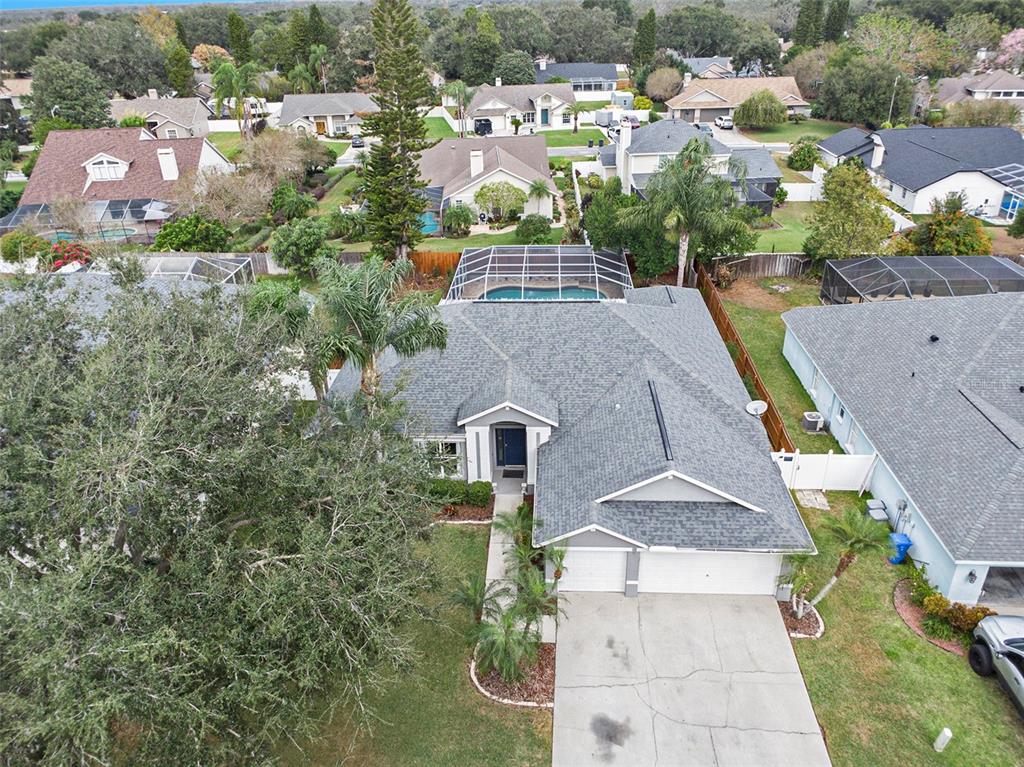 2846 Duncan Tree Circle Valrico, FL 33594 - Photo 6 of 45