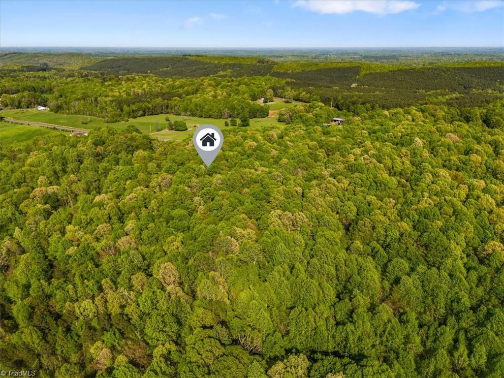 5329 Seagrove Plank Road Seagrove, NC 27341 - Photo 48 of 50