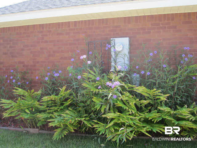 350 Manchester Lane Foley, AL 36535 - Photo 6 of 24 Nice Landscaping