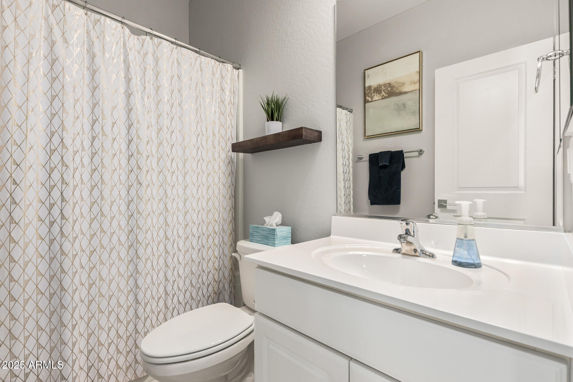 17784 West Sandy Road Goodyear, AZ 85338 - Photo 30 of 38 a bathroom with a sink a toilet and shower curtain