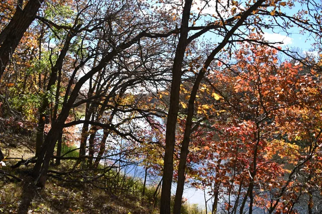 $37,500 | 38869 Odin Court, Browerville, MN 56438