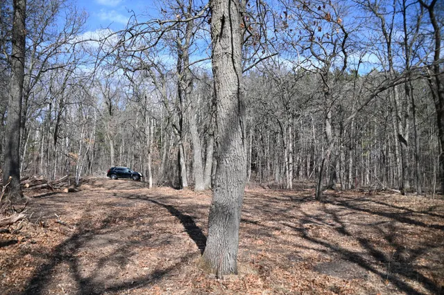 $37,500 | 38869 Odin Court, Browerville, MN 56438