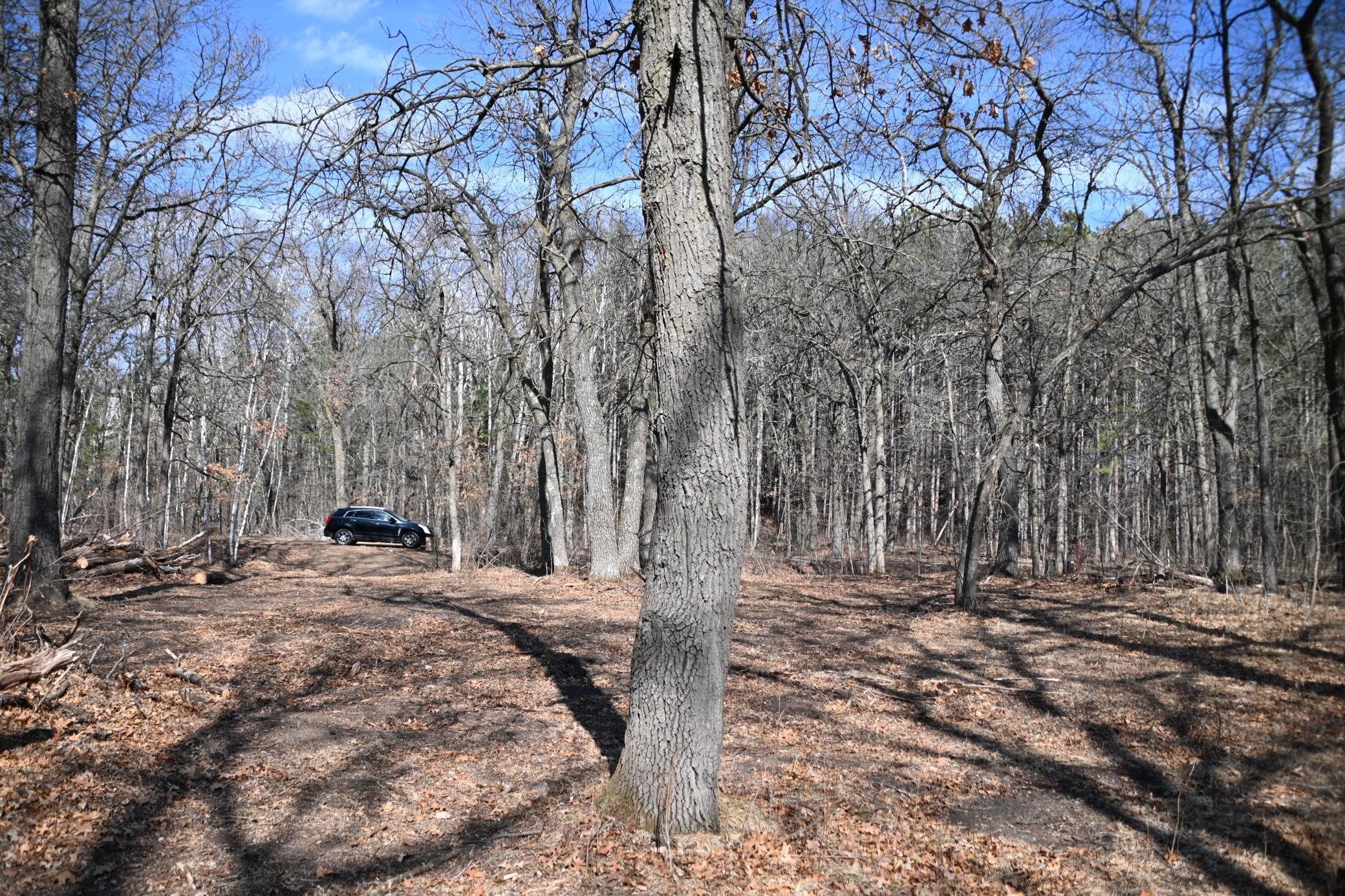 38869 Odin Court Browerville, MN 56438 - Photo 11 of 24