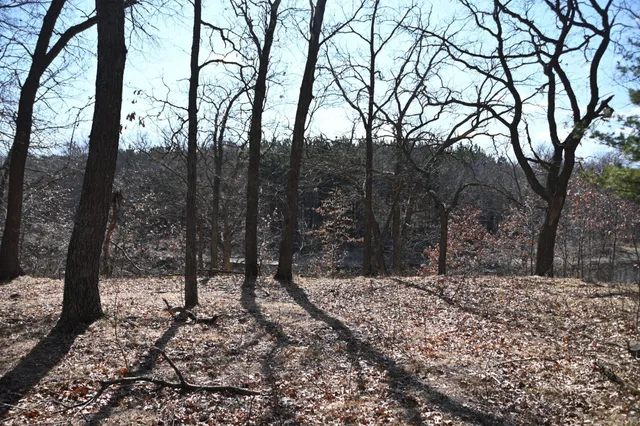 $37,500 | 38869 Odin Court, Browerville, MN 56438