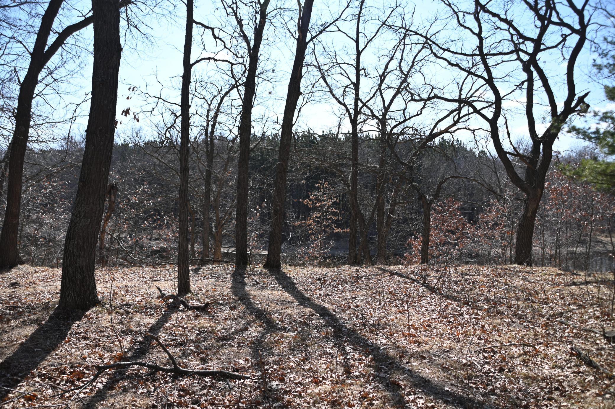 38869 Odin Court Browerville, MN 56438 - Photo 12 of 24