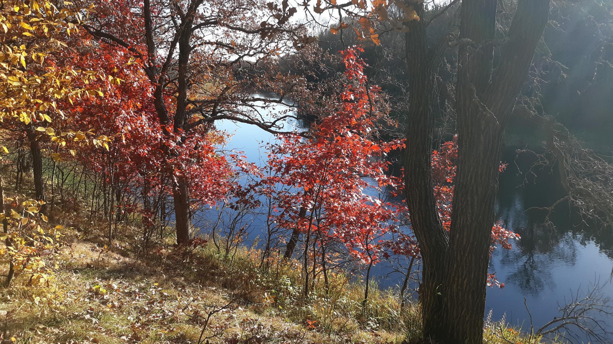 38869 Odin Court Browerville, MN 56438 - Photo 15 of 24