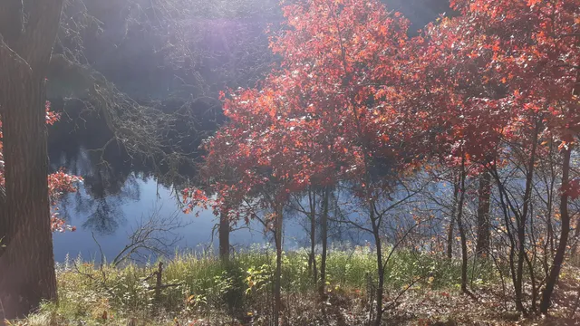 $37,500 | 38869 Odin Court, Browerville, MN 56438