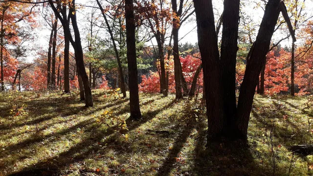 $37,500 | 38869 Odin Court, Browerville, MN 56438