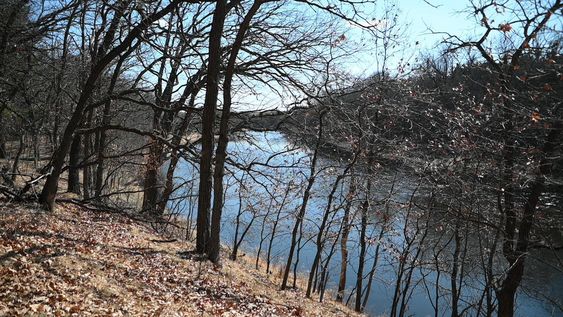 38869 Odin Court Browerville, MN 56438 - Photo 2 of 24